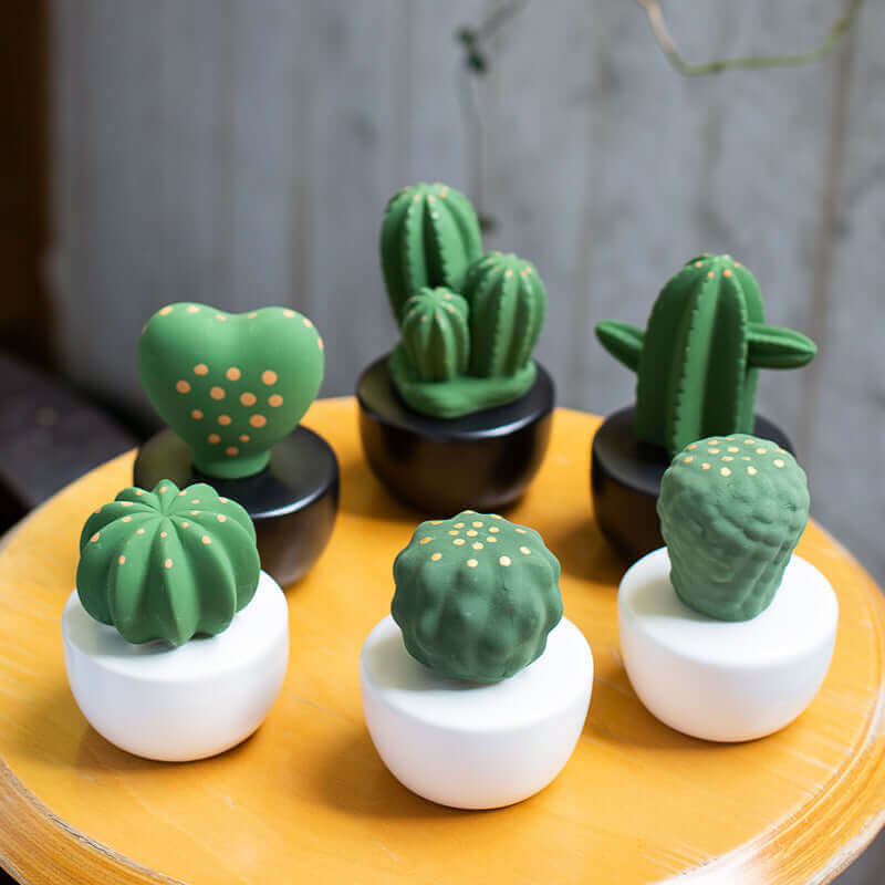 Aromatherapy Minimalist Ceramic Set - Cactus