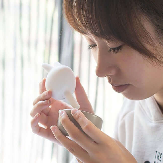 Aromatherapy Minimalist Ceramic Set - Bird