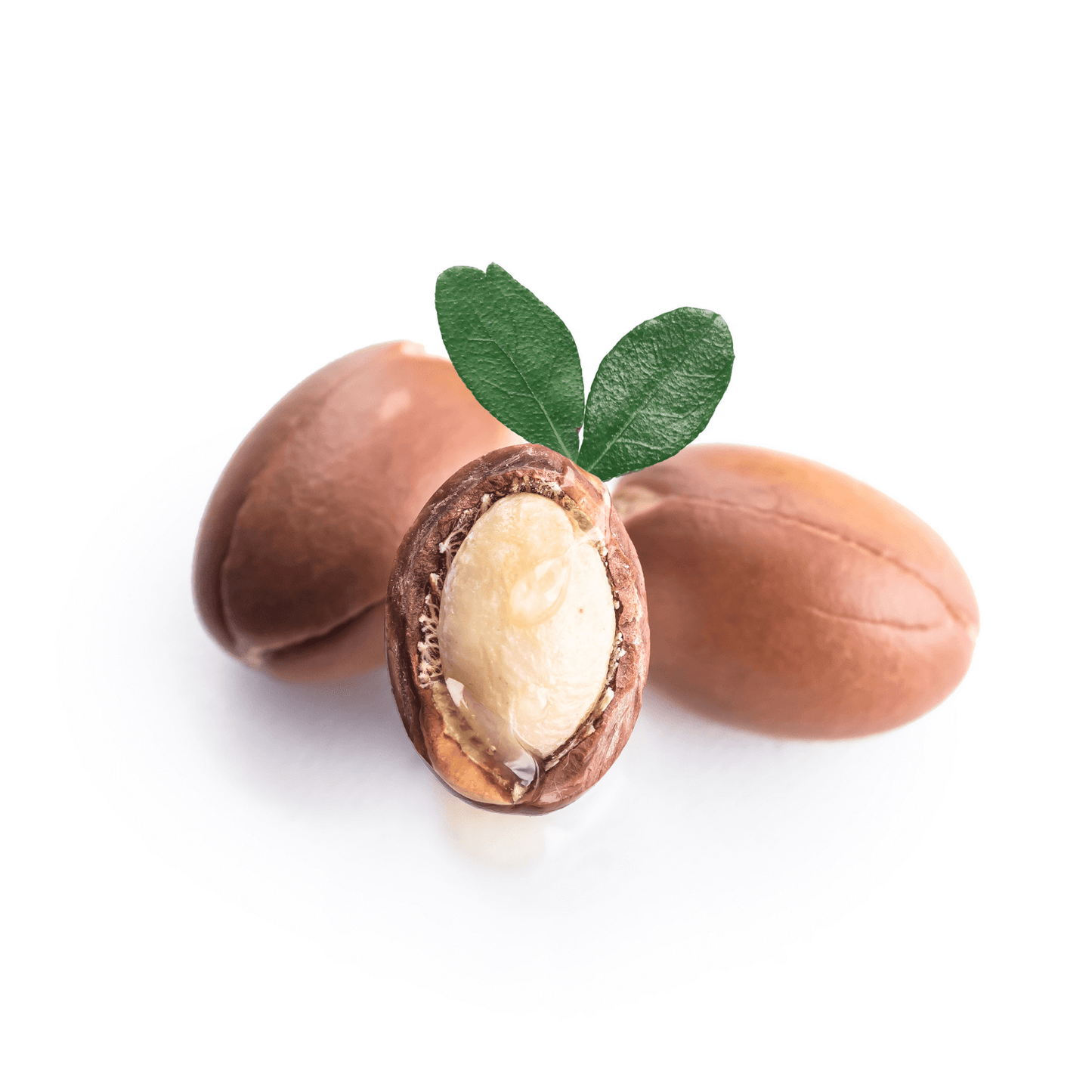 Refined Argan Oil (Morocco) - Cosmetic Grade