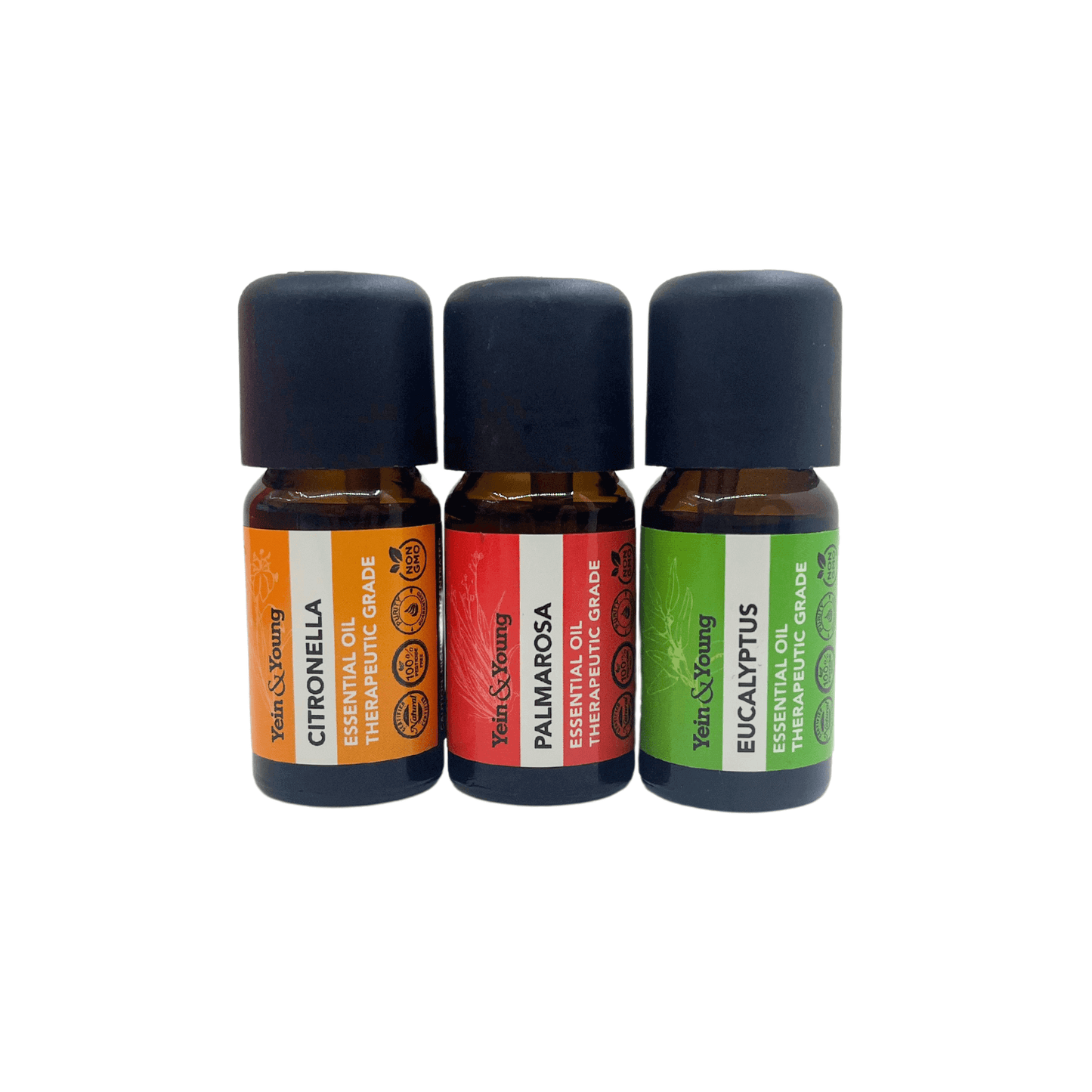 Clarity Boost Essential Oil Reed Diffuser Gift Set (LIMITED EDITION)