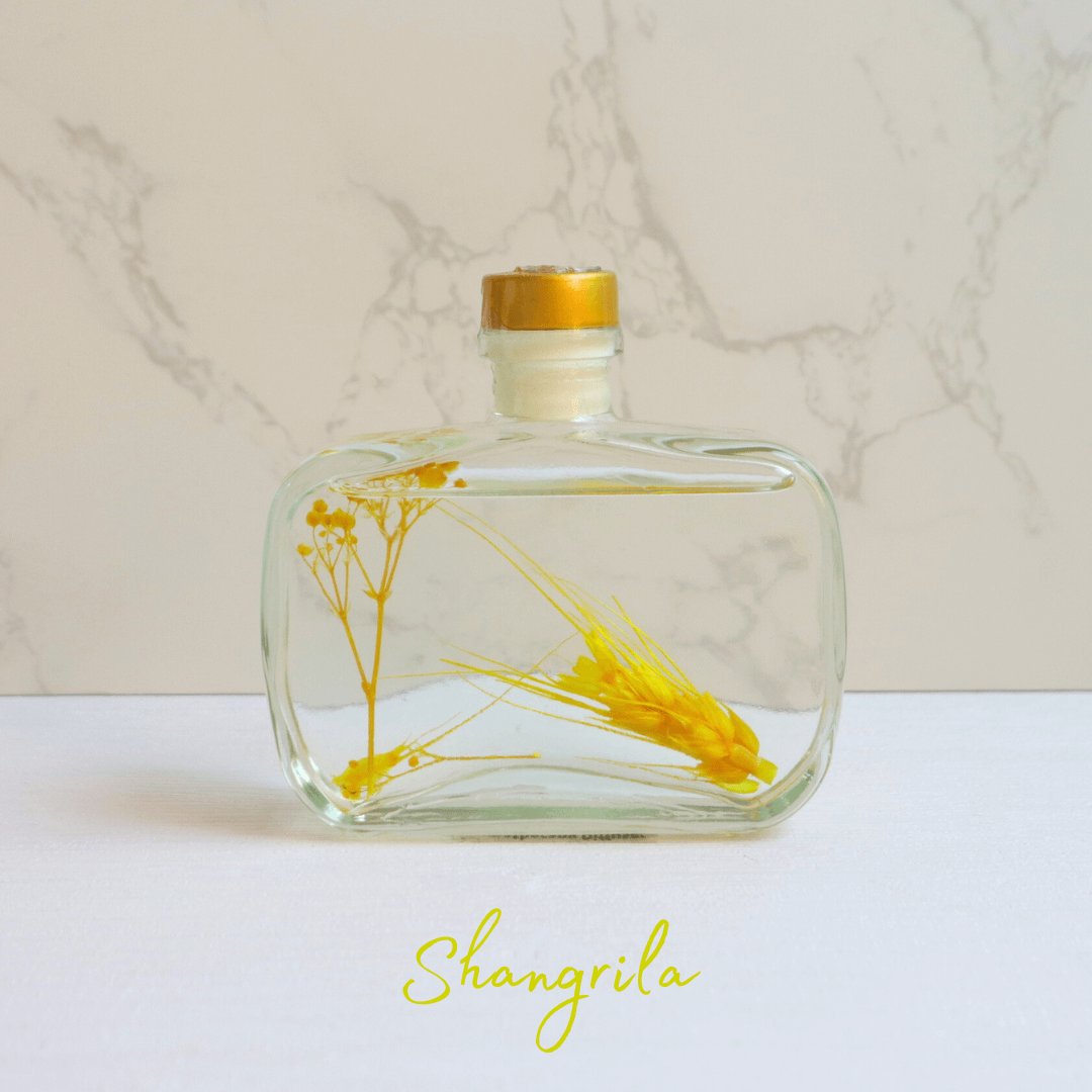 Aromatherapy Diffuser - 100ml - ShangriLa