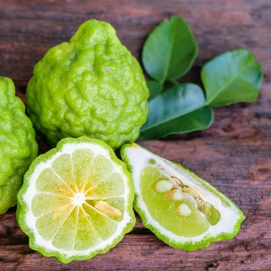 Bergamot Fragrance Oil - 30ml