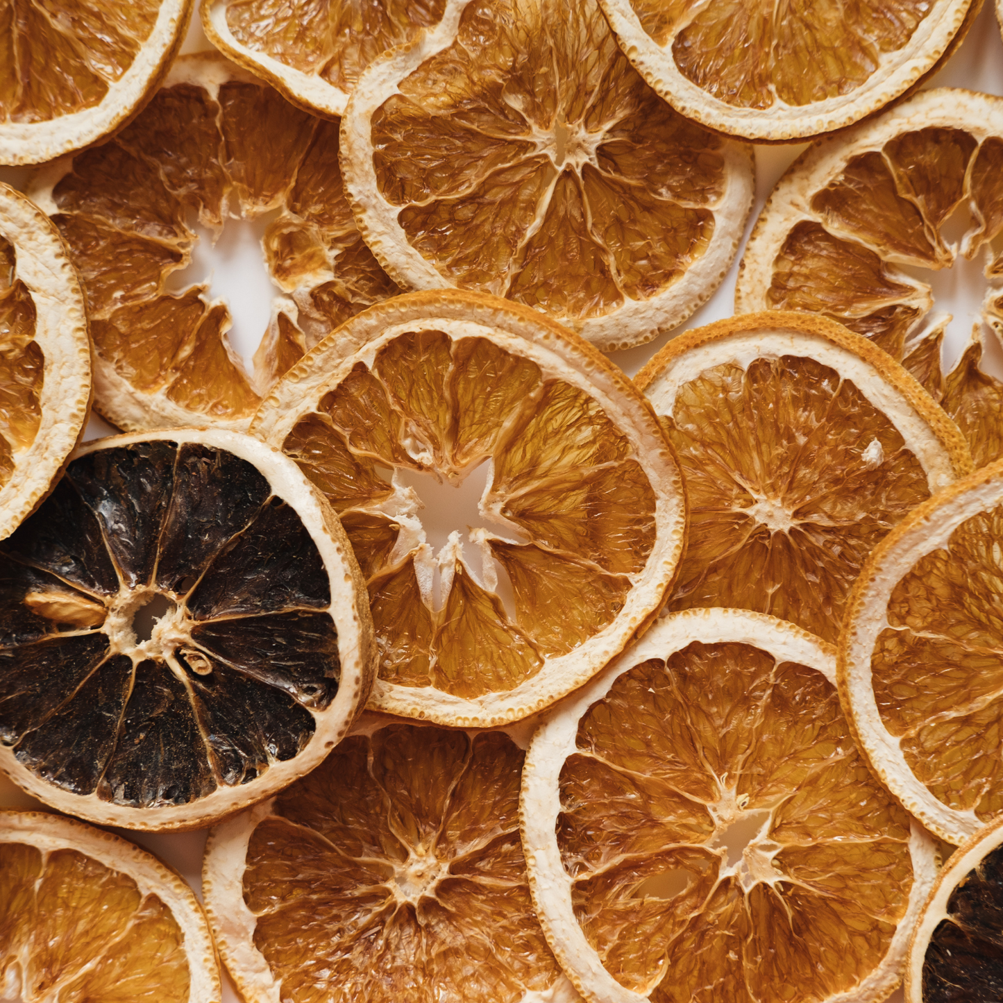 Dried Orange Slices