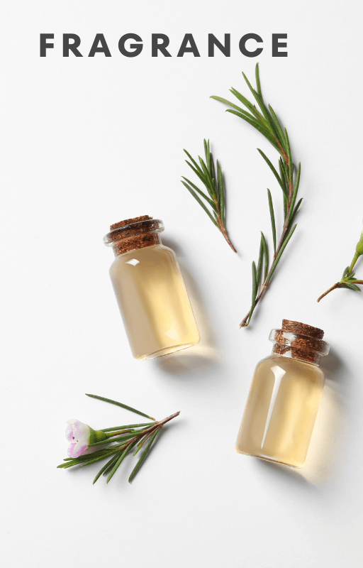 Lip Balm Making Masterclass EBOOK