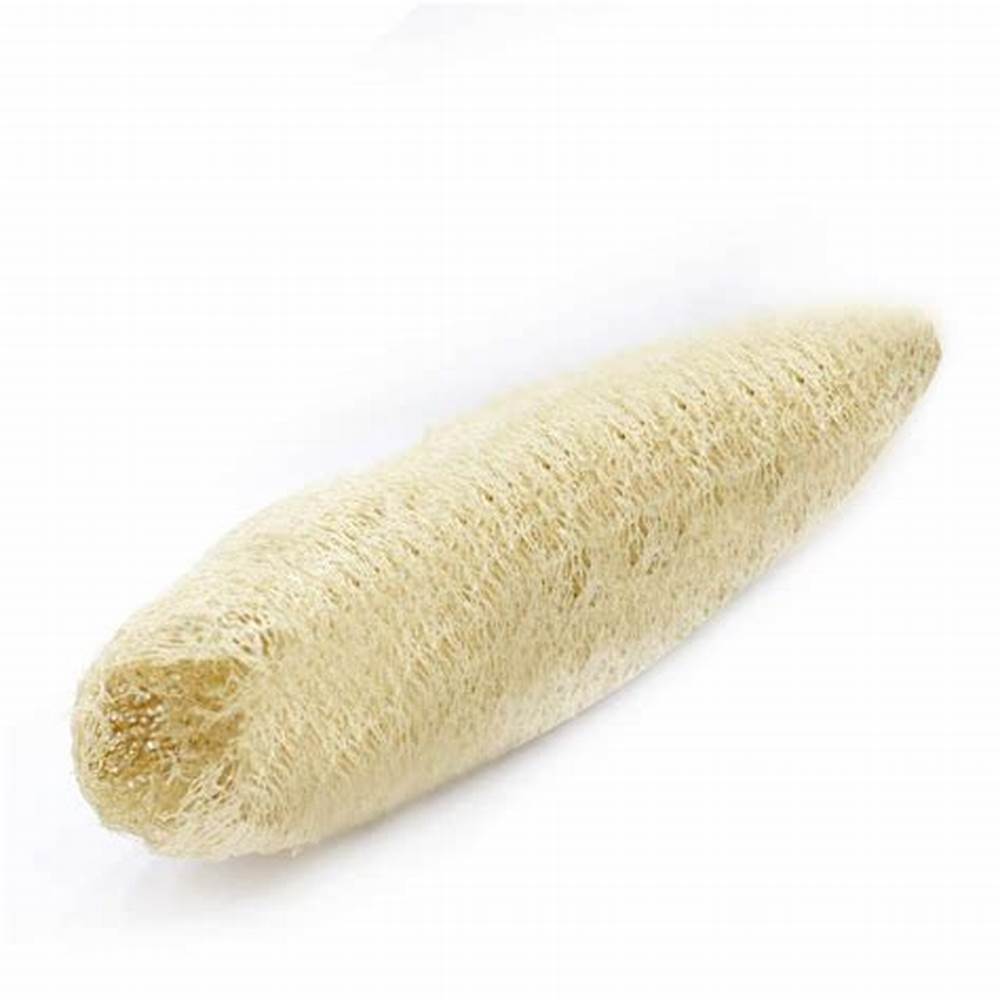 Organic Loofah - 24cm (L) x 6cm (W) - No Bleaching