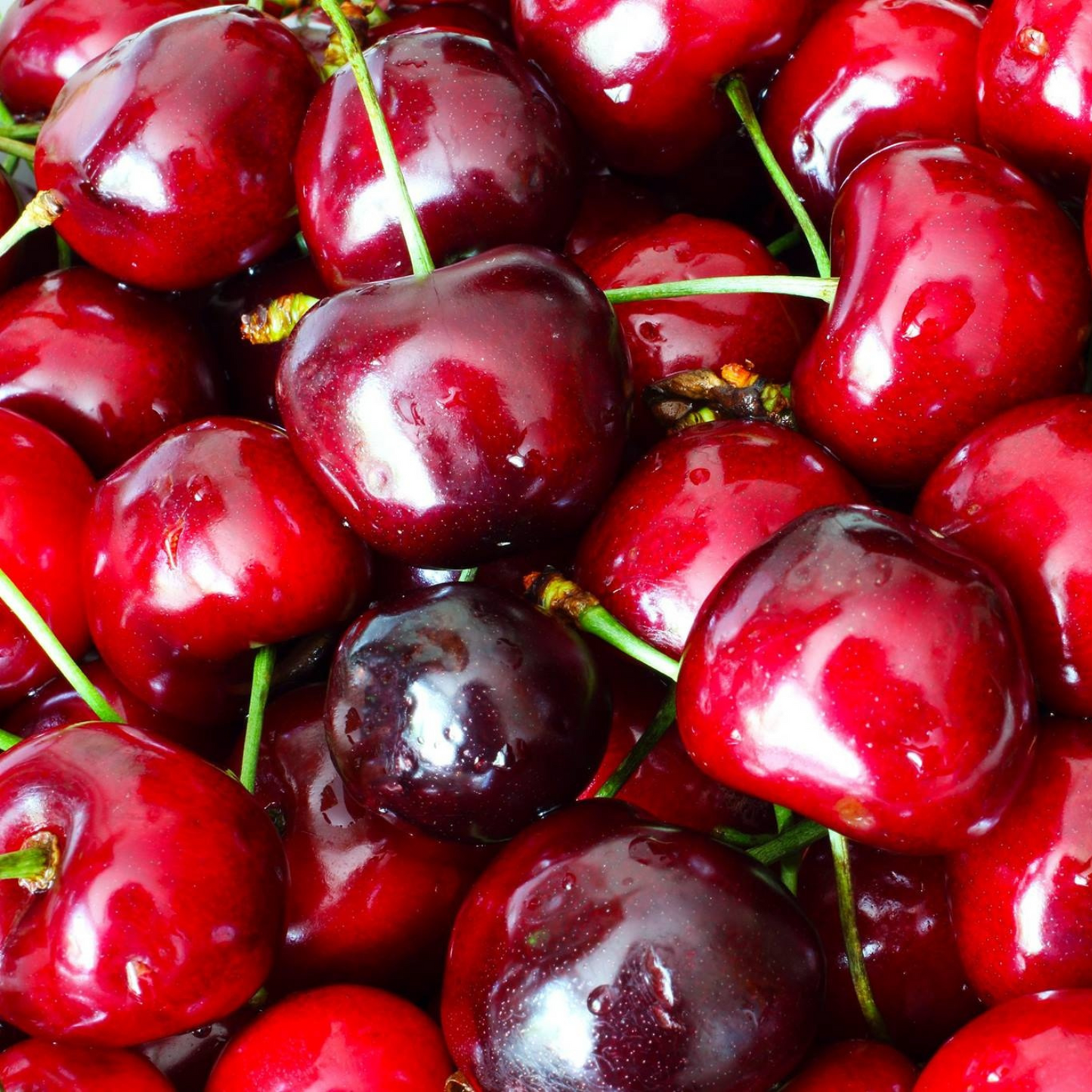 Wild Black Cherry Fragrance Oil