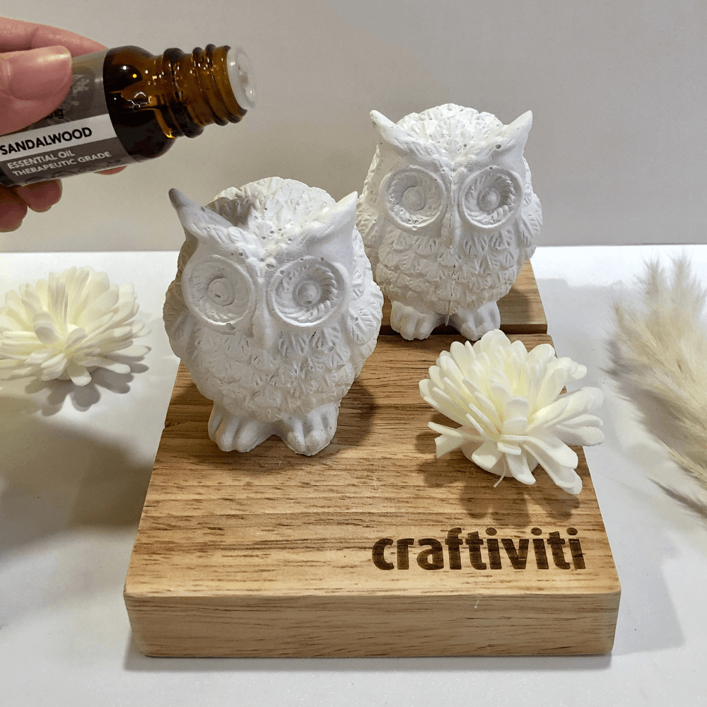 Aroma Owlet (Free Fragrance Oil)