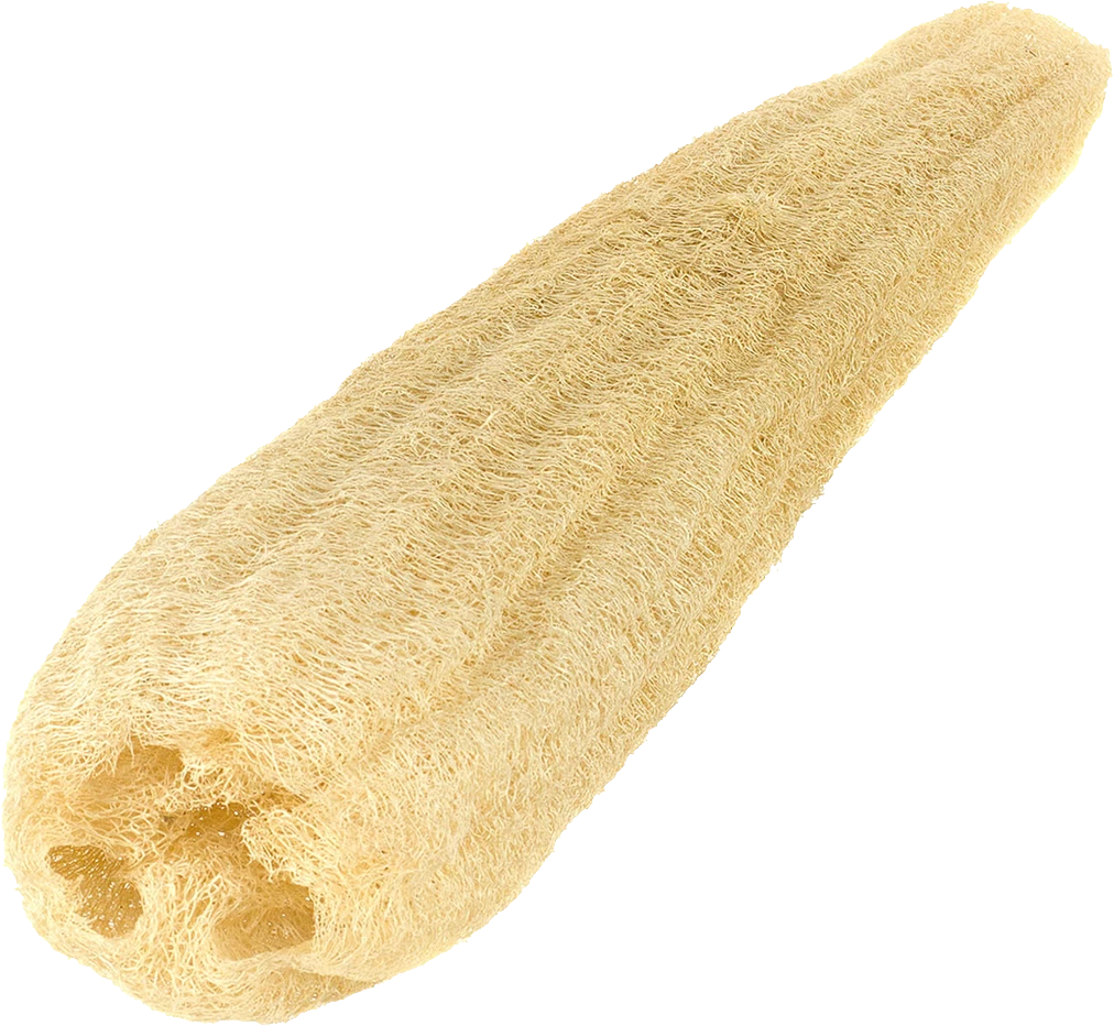 Organic Loofah - 24cm (L) x 6cm (W) - No Bleaching