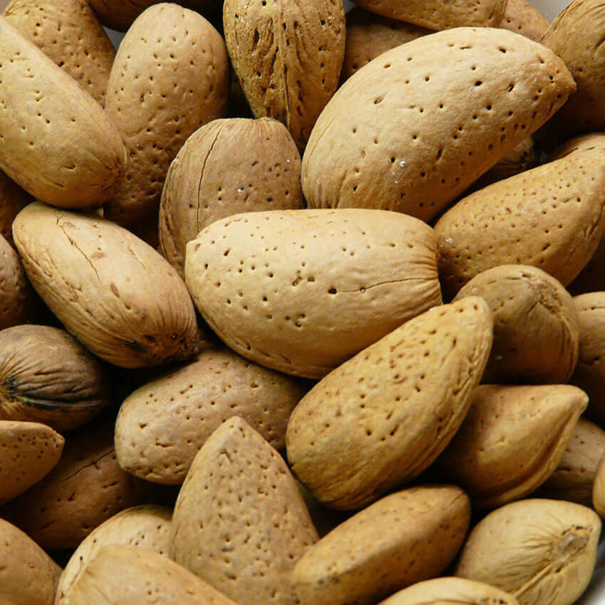 Refined Sweet Almond Oil (Italy & Spain) - Cosmetic Grade