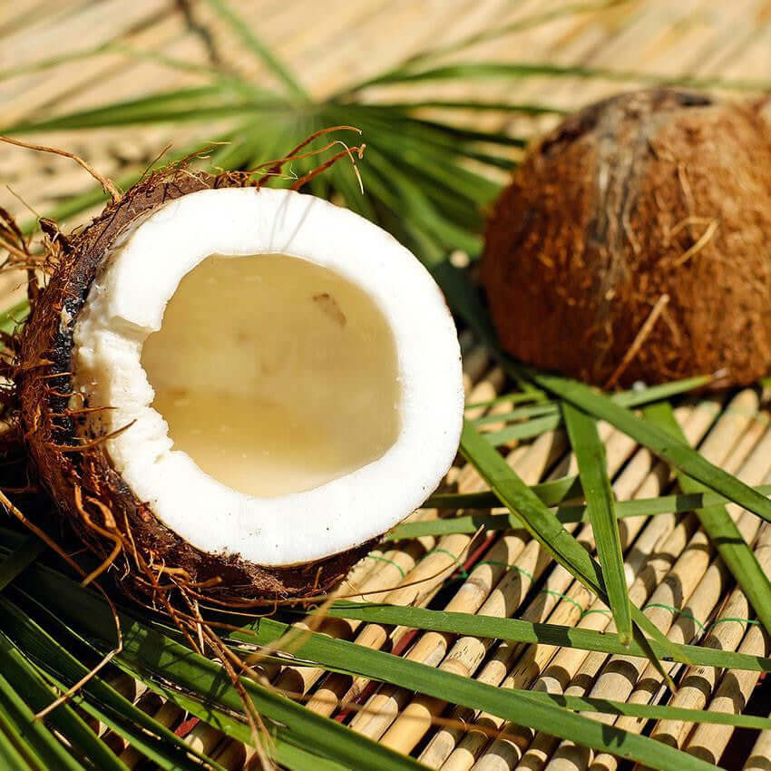 Refined Coconut Oil - 1000ml (Malaysia) - Cosmetic Grade