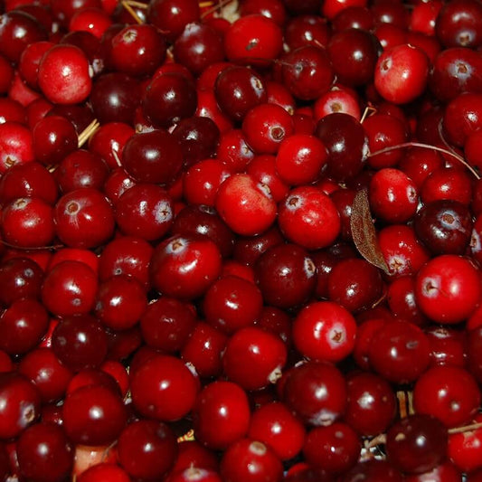 Cranberry Fragrance Oil - 30ml