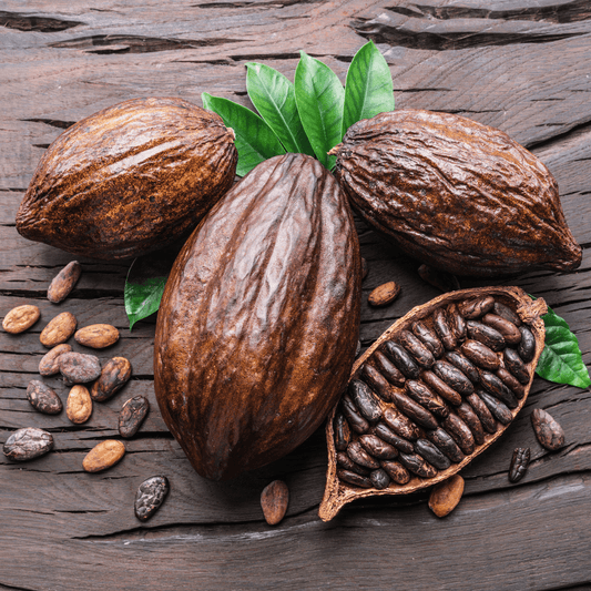 Cocoa Bean Fragrance Oil - 30ml