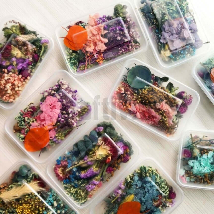 On The Soil Assorted Dry Flower Box, Flowers for Craft, Dried Flowers for  Resin Vase Filler Price in India - Buy On The Soil Assorted Dry Flower Box,  Flowers for Craft, Dried