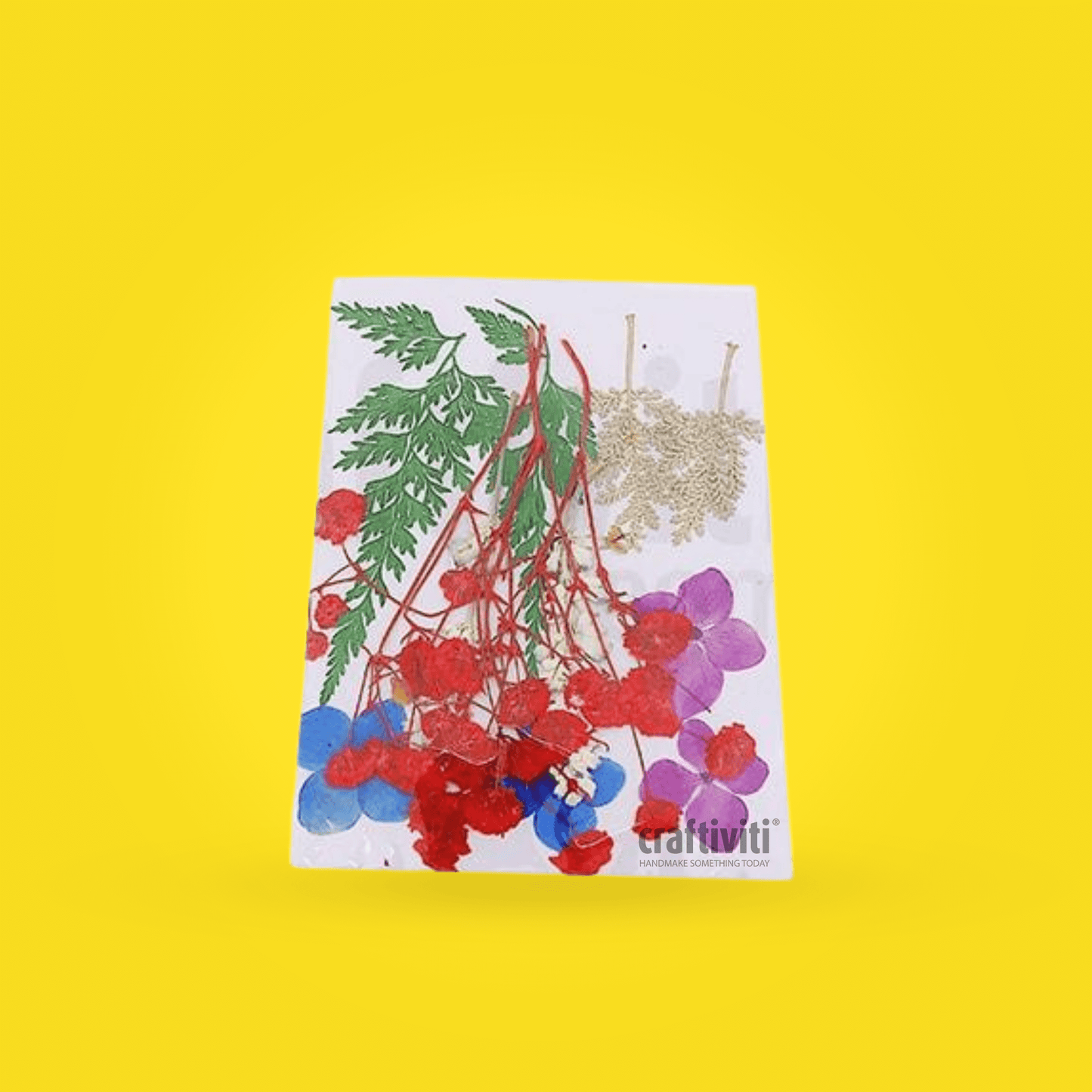 Dried Flat Flower - Mix Color 2