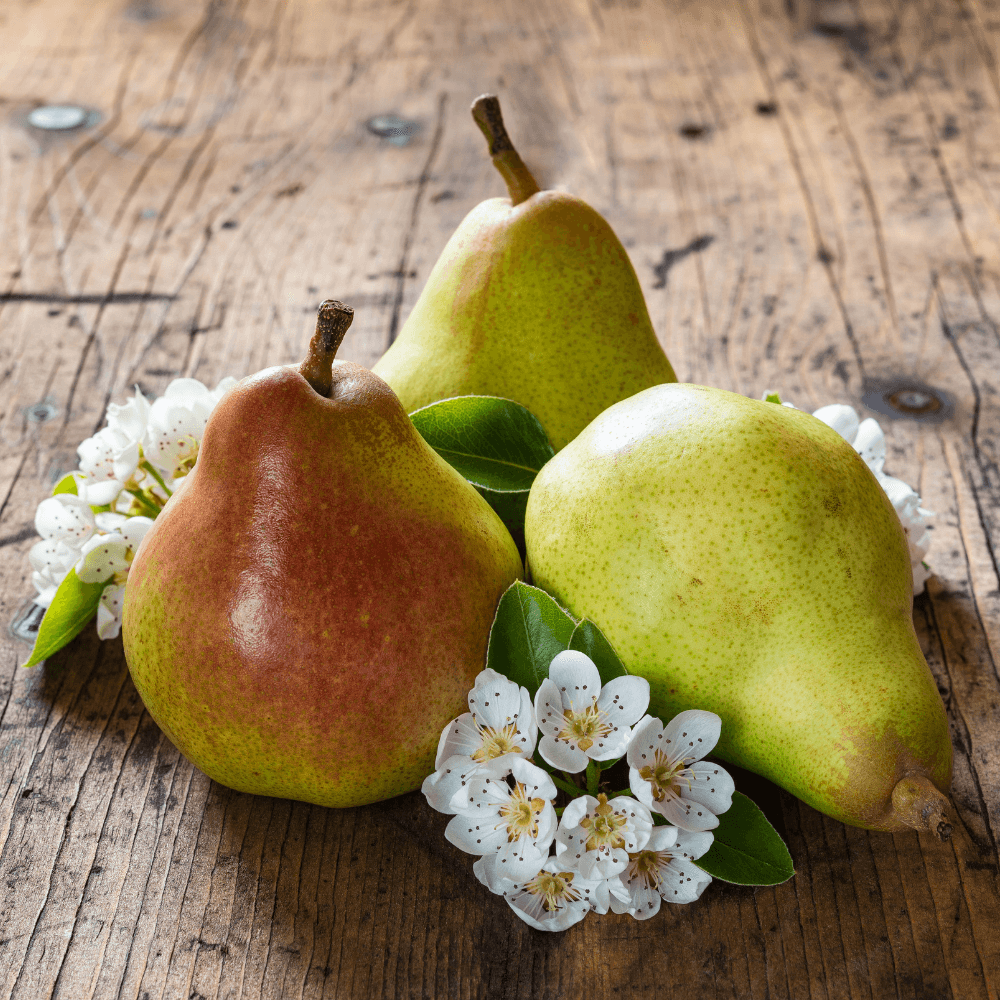 English Pears and Freesia Aromatherapy Essential Oil 15 ml