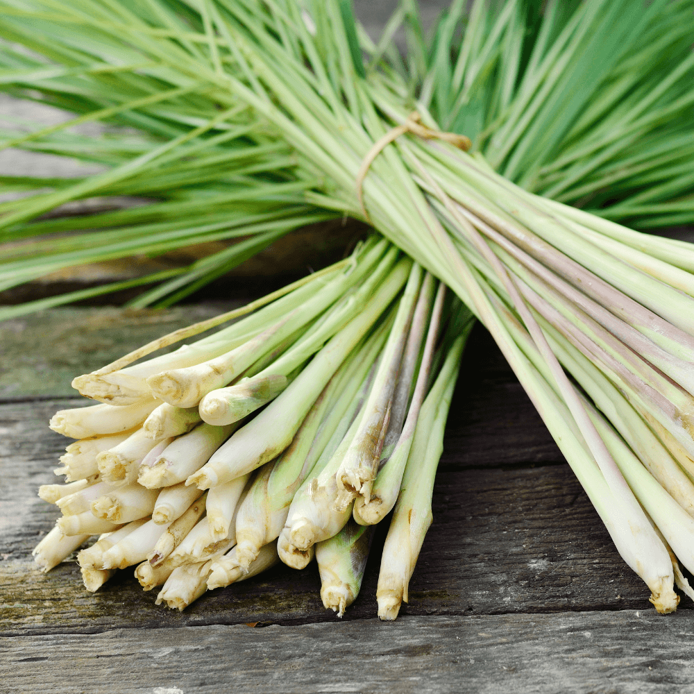 Lemongrass Supreme Fragrance Oil - 30ml