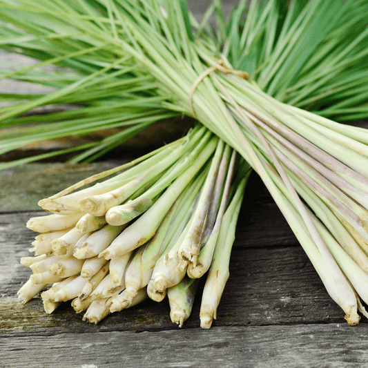 Lemongrass Supreme Fragrance Oil - 30ml