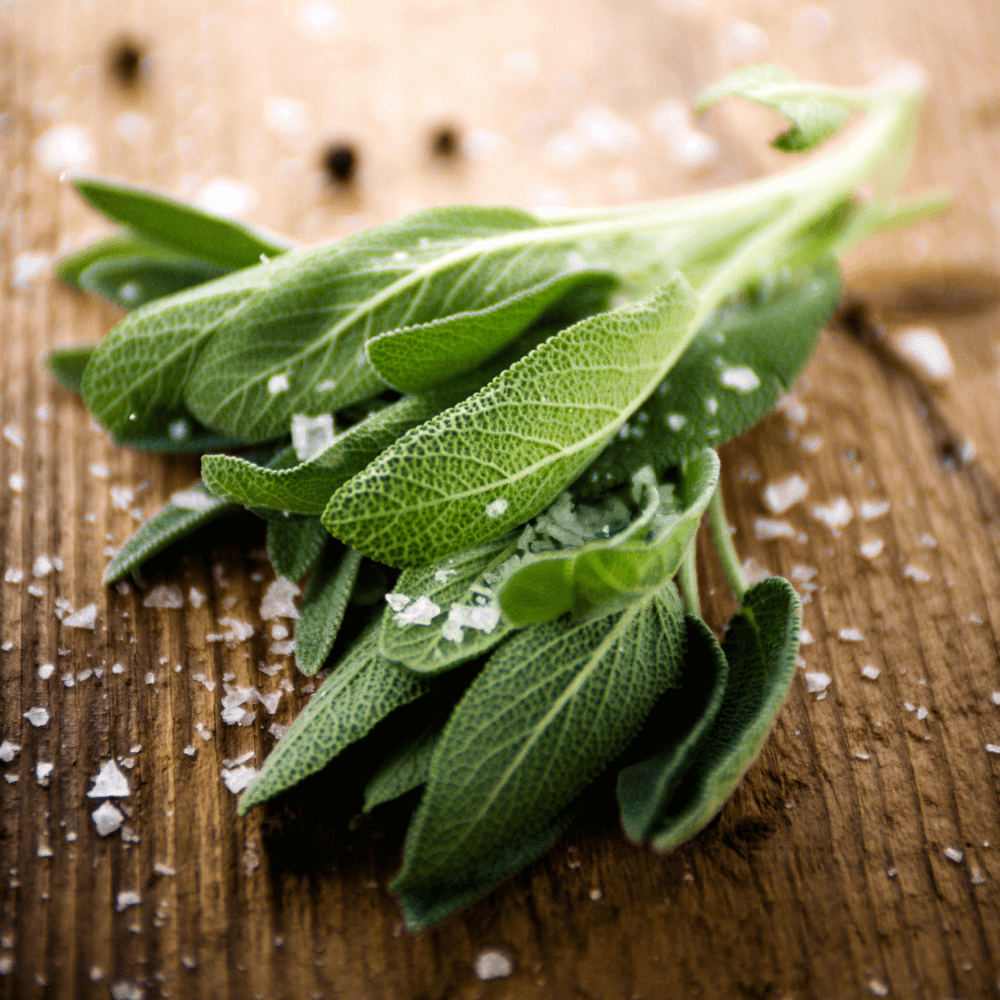 Sea Salt & Sage Fragrance Oil - 30ml