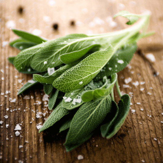 Sea Salt & Sage Fragrance Oil - 30ml
