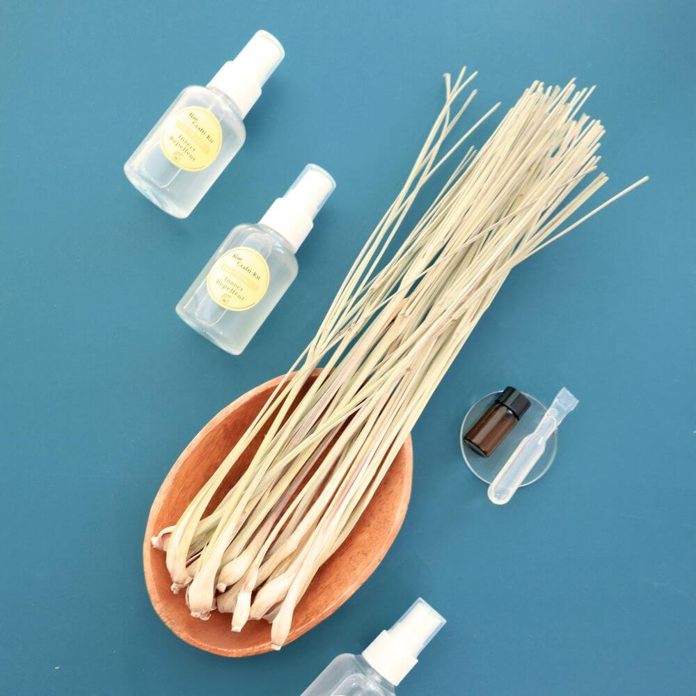 Mini Crafti-Kit - Eco-Friendly Insect Repellent Kit