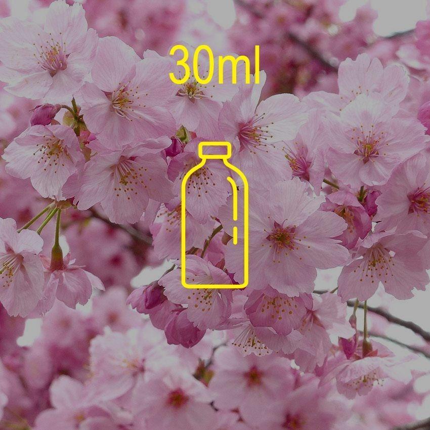 Sakura Fragrance Oil 30ml Scents for Soap and Candle Making Cosmetic  Grade – Craftiviti
