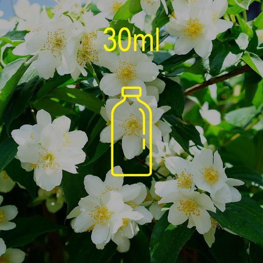 Jasmine Fragrance Oil - 30ml