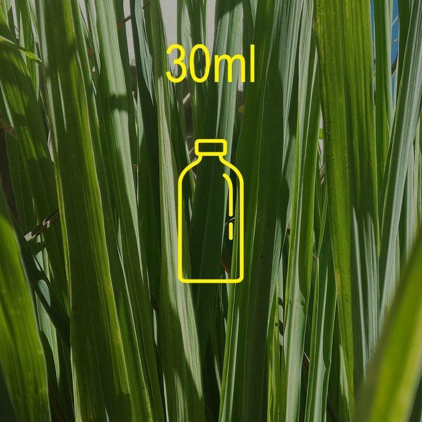 Lemongrass Fragrance Oil - 30ml