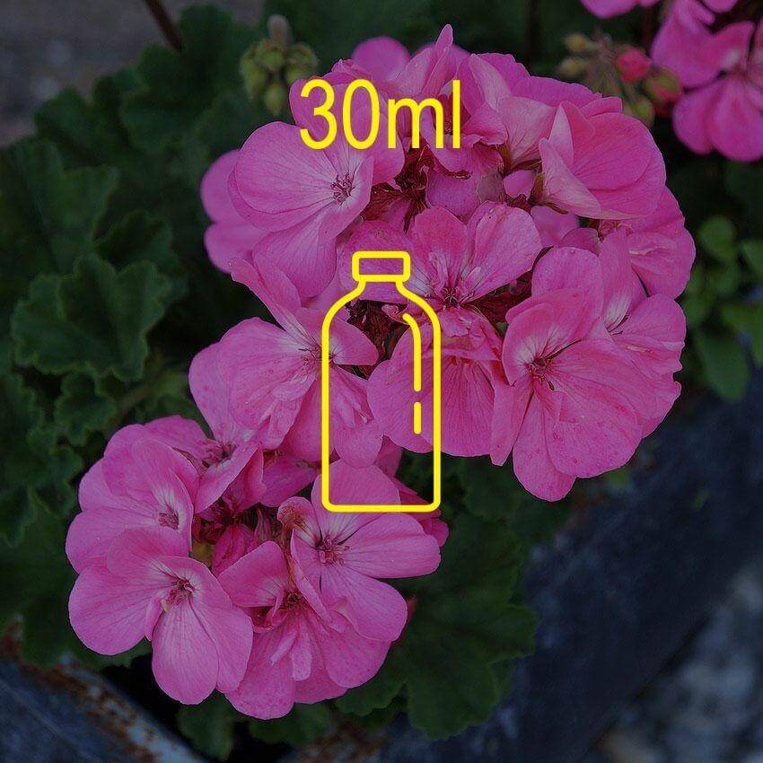 Geranium Fragrance Oil - 30ml