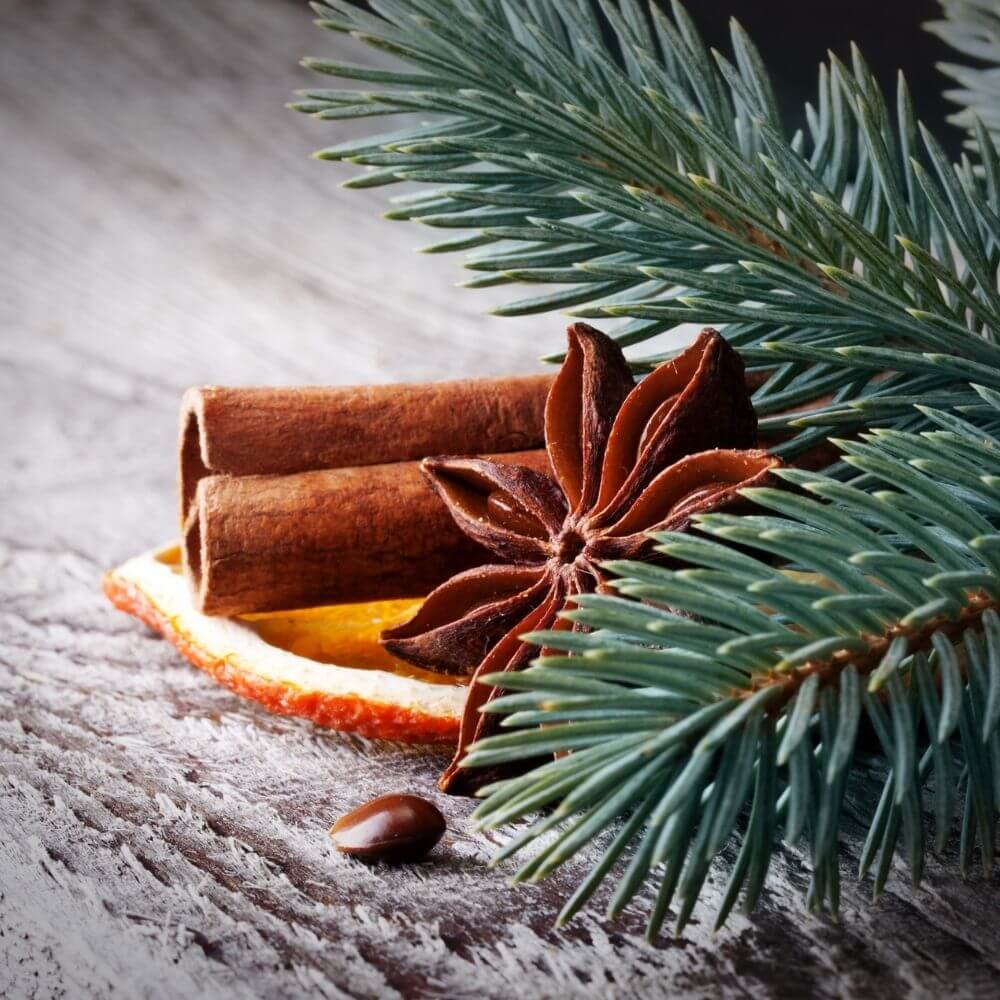 Pine Cones & Spice Fragrance Oil - 30ml