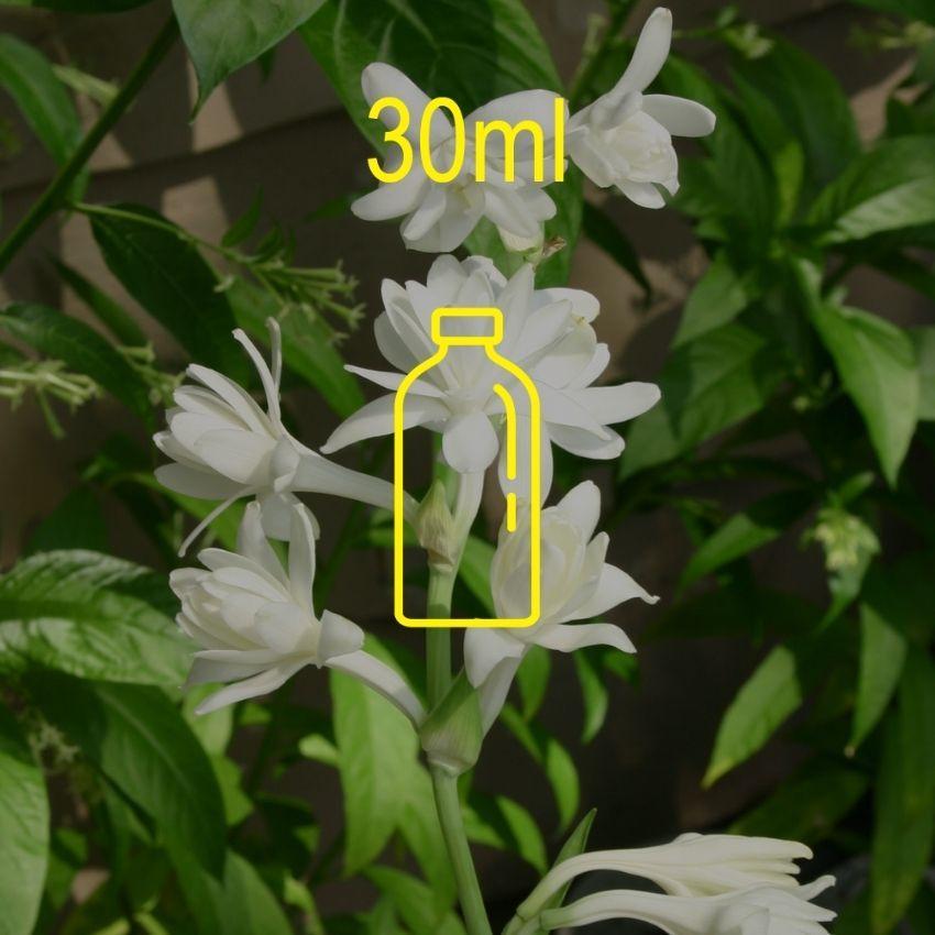 Tuberose Fragrance Oil - 30ml