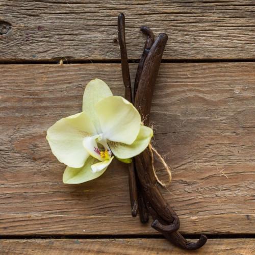 Vanilla Fragrance Oil - 30ml
