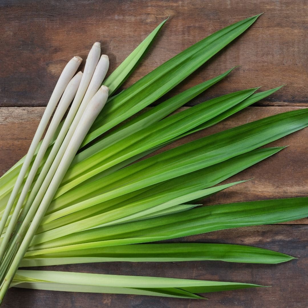 Yein&Young Lemongrass Essential Oil - 10ml