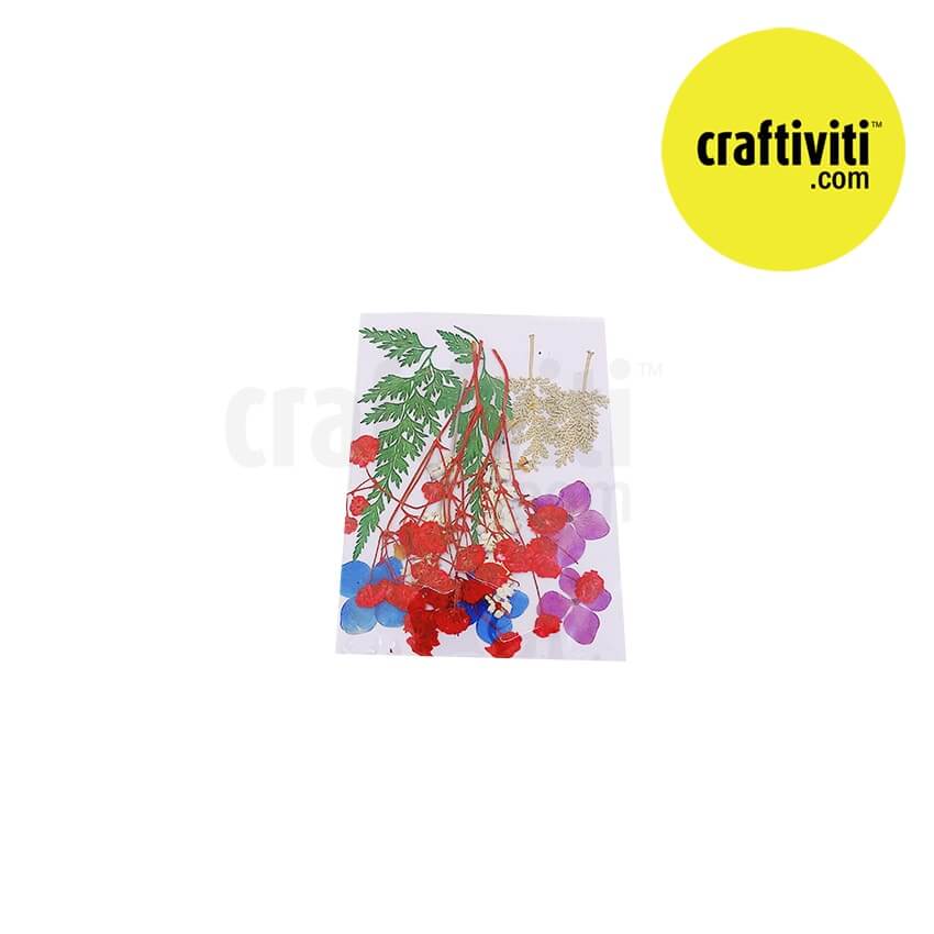 Dried Flat Flower - Mix Color 2