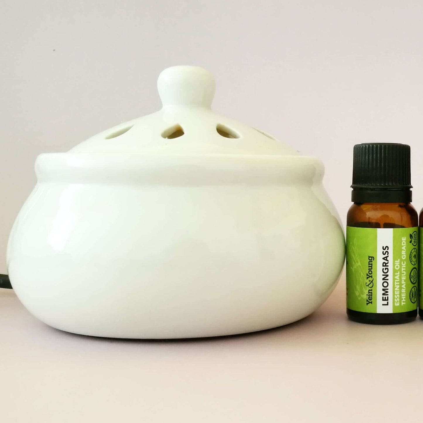 Essential Oil Electric Burner & Cover