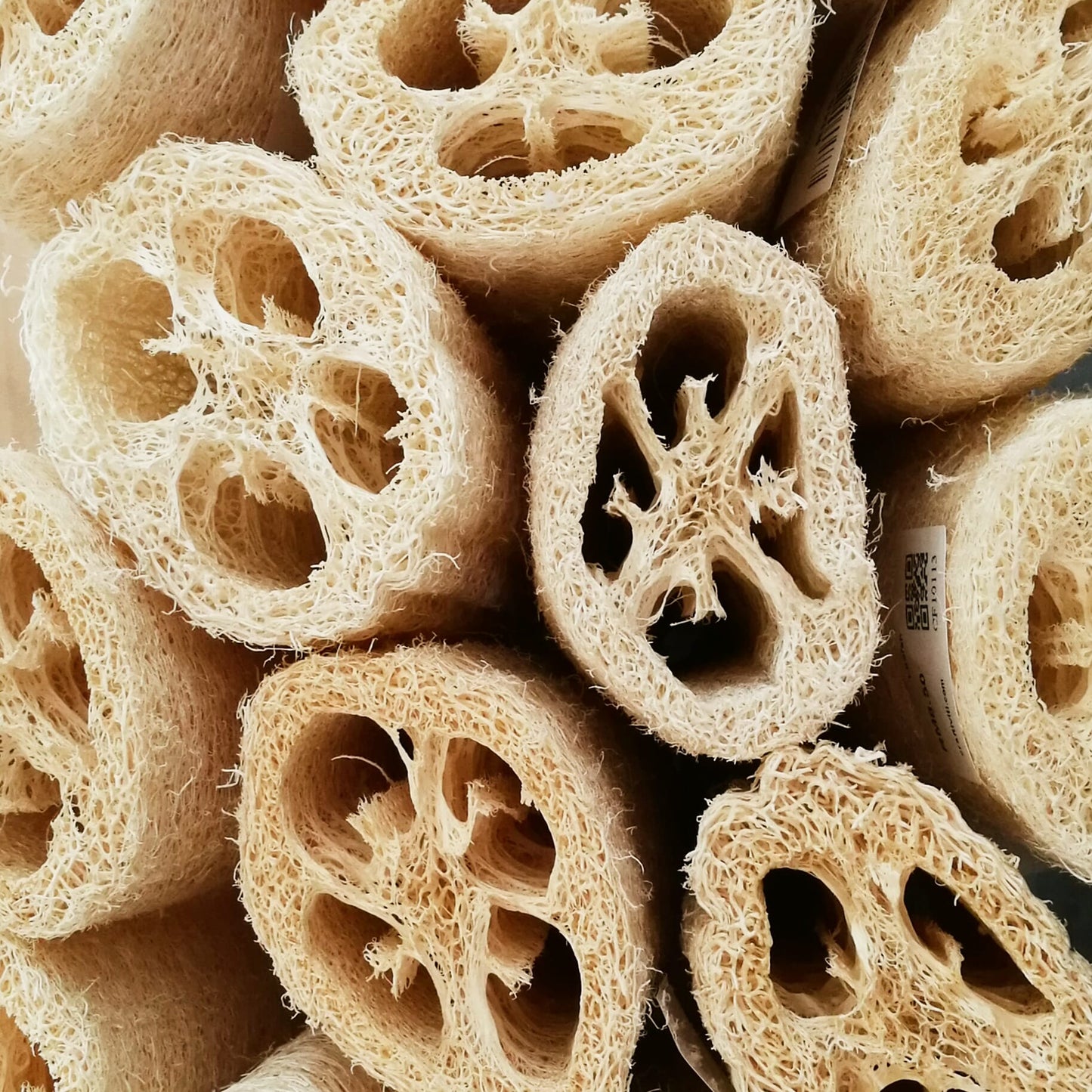 Loofah