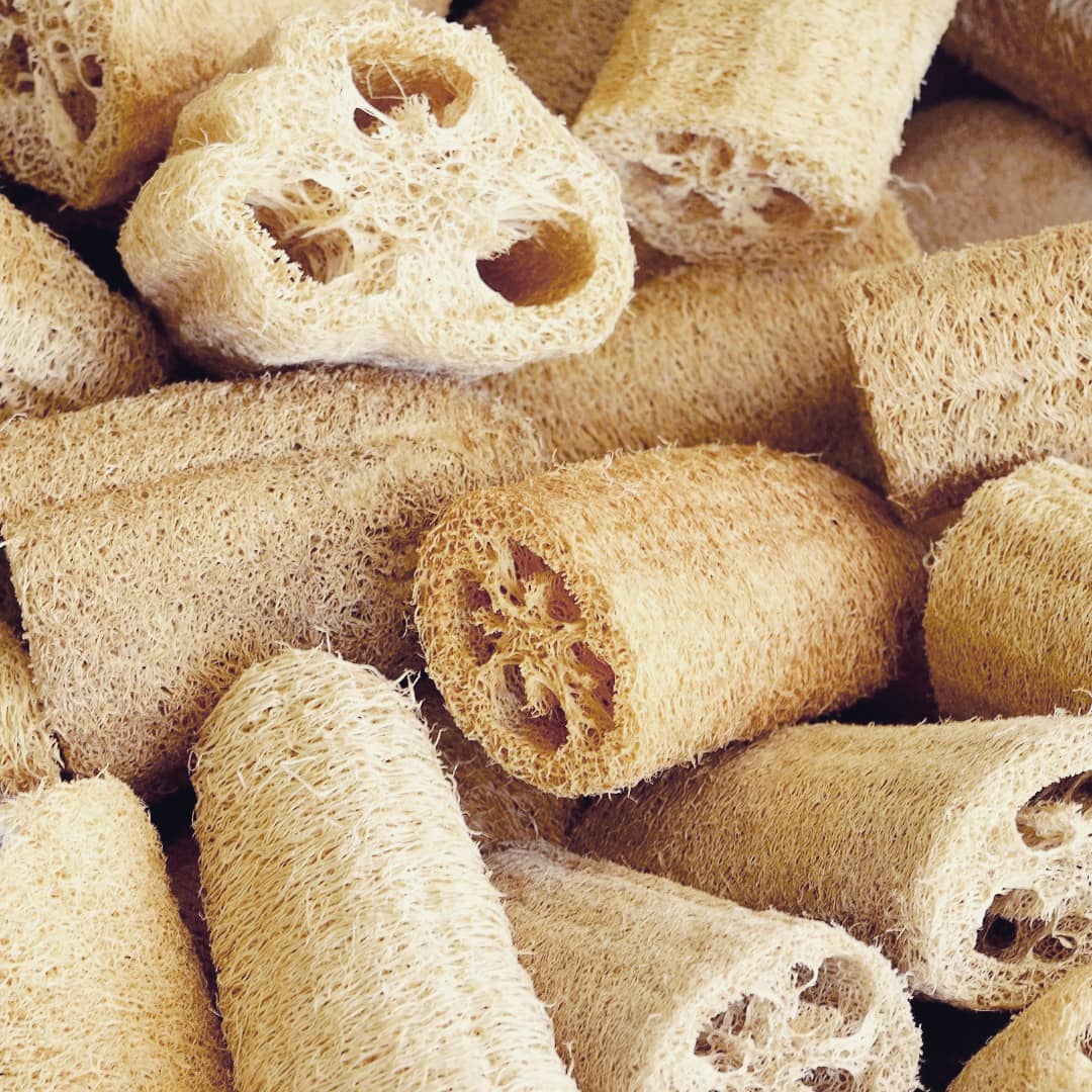 Loofah