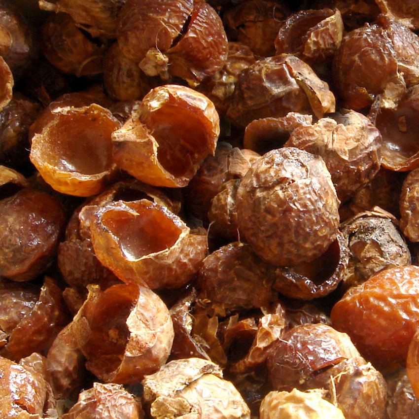 Soapnut Berry - 250g