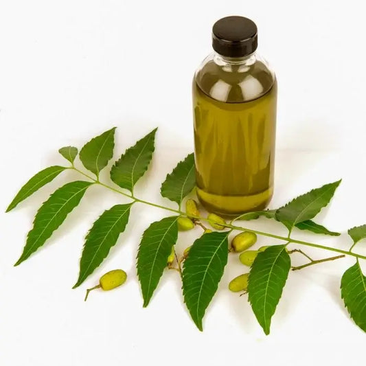 Neem Oil: A Natural Solution for Pet Care