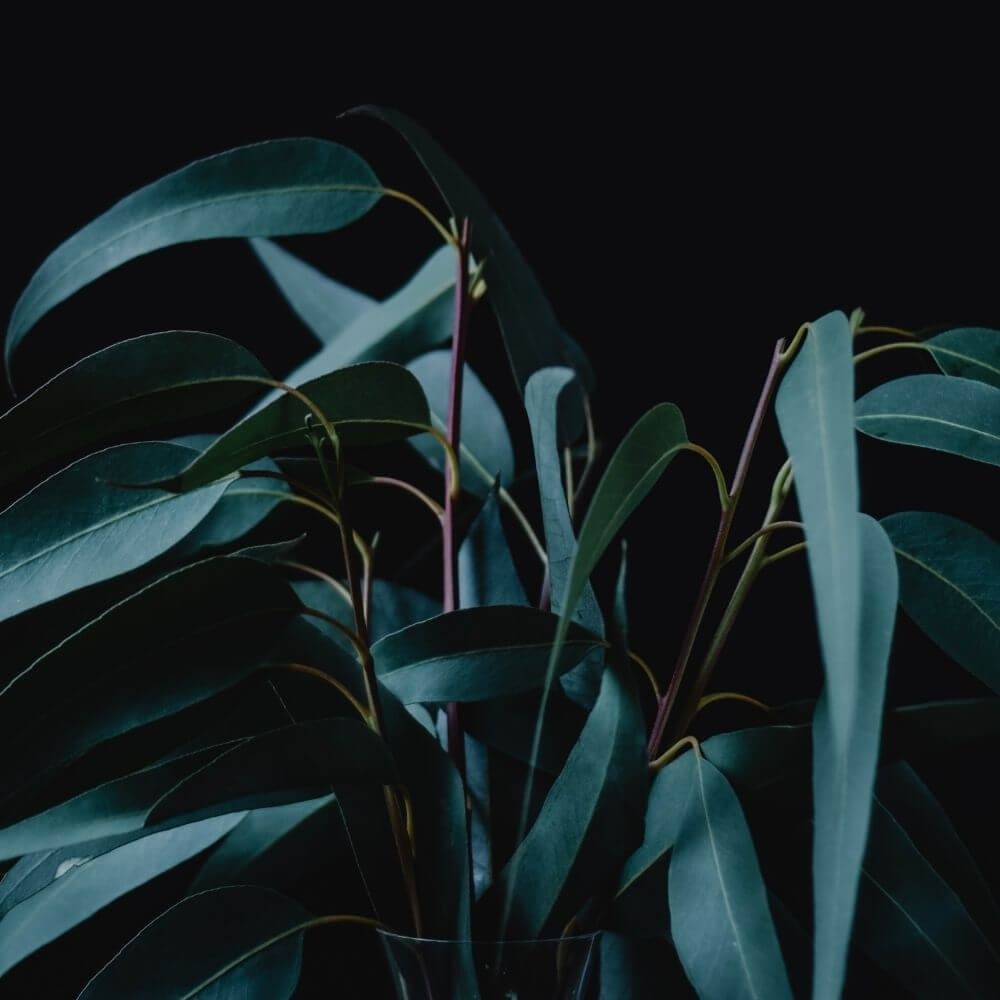 The 5-Minute Ritual That Clears Your Mind & Space