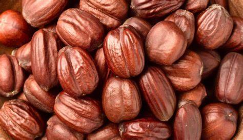 10 LITTLE KNOWN FACTS ABOUT JOJOBA OIL