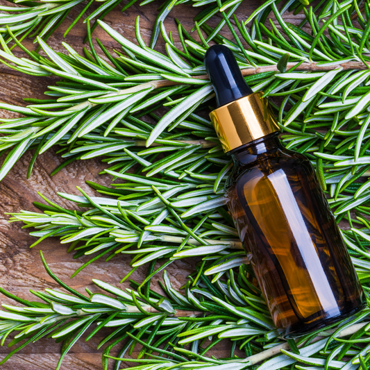 Radiant Hair & Clear Mind: Rosemary Oil