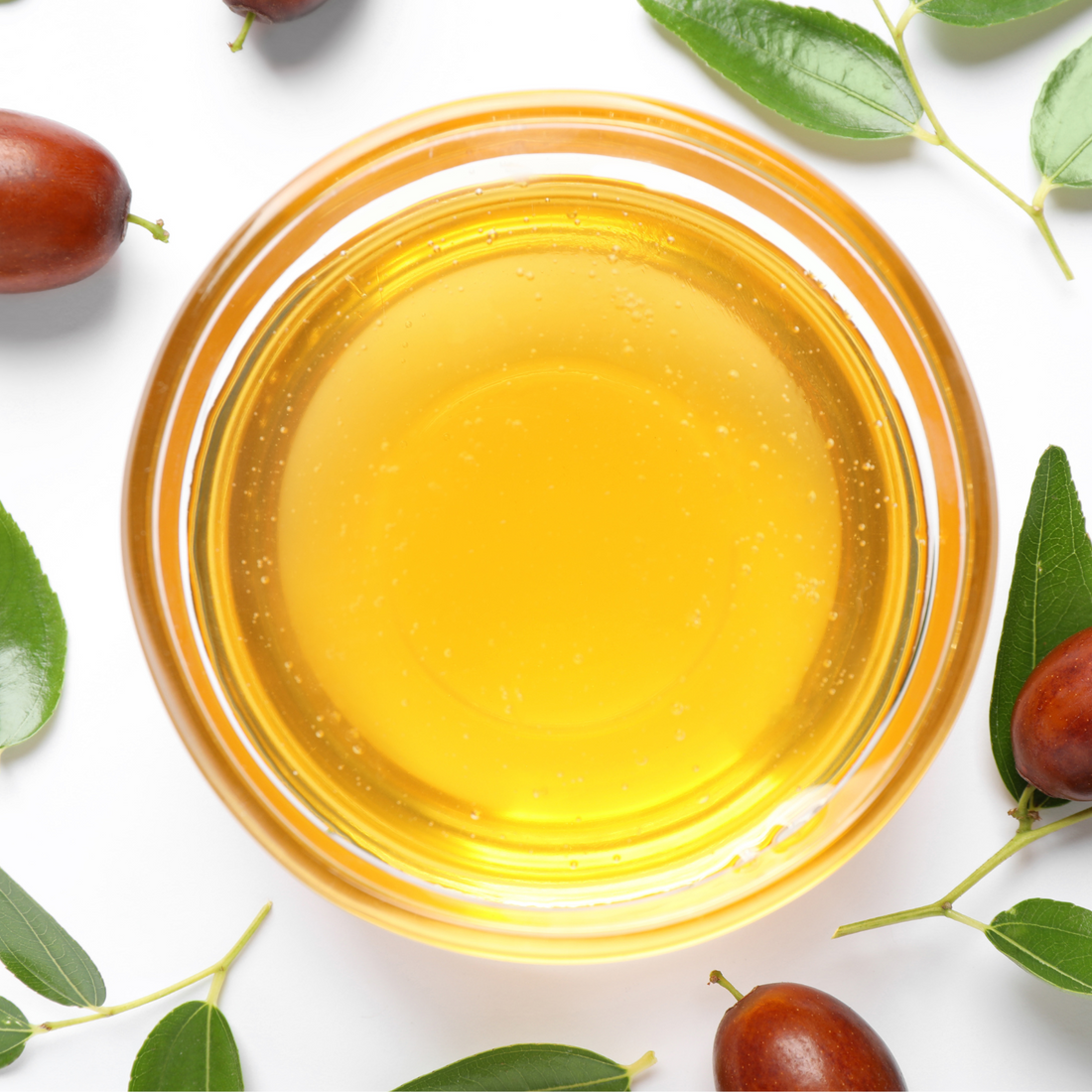 The Oil That Doesn’t Expire? Why Jojoba Oil Is the Ultimate Anti-Rancid Beauty Staple