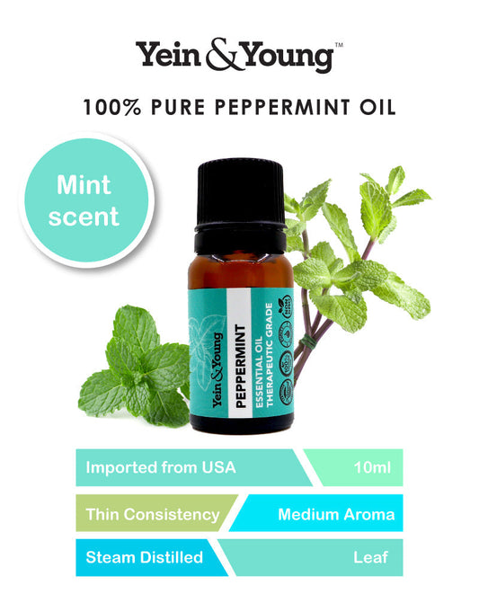 Benefits of Peppermint Essential Oil: A Complete Guide to Its Uses, Benefits & Everyday Applications