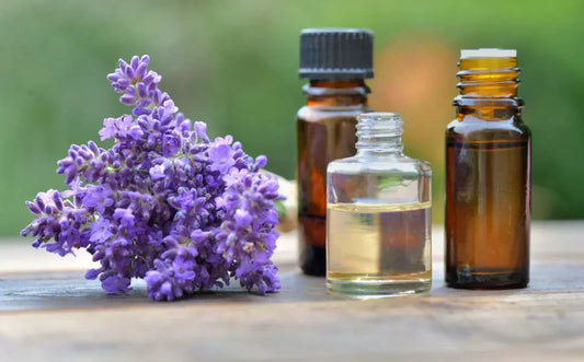 Carrier Oil vs Essential Oil: What’s the Difference?