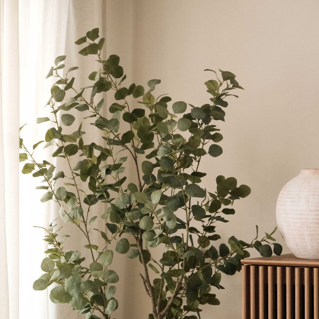 Eucalyptus Essential Oil: Benefits, Uses, Safety, and DIY Recipes – The Complete Guide