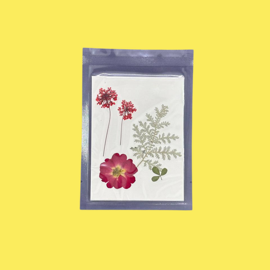 Dried Flat Flower - Ruby Red