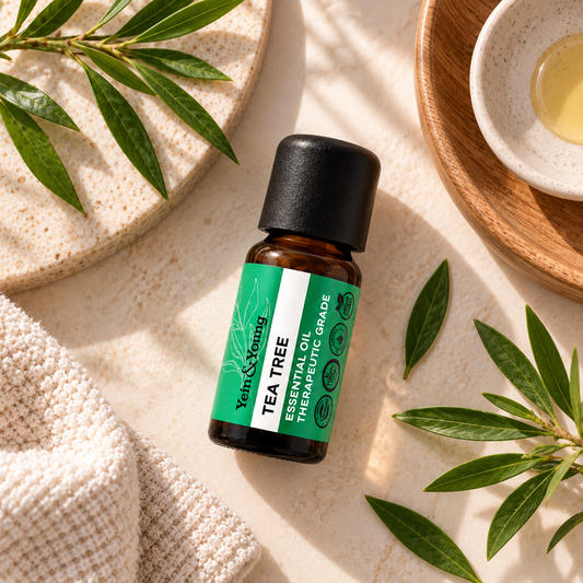 (Short Expiry: Aug 2026) Yein&Young Tea Tree Essential Oil - 10ml