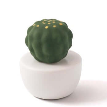 Aromatherapy Minimalist Ceramic Set - Cactus