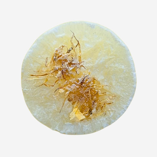 Magnolias Wax Melt