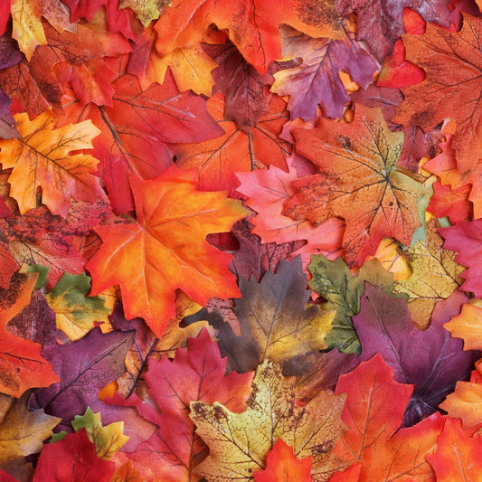 Autumn Leaves Fragrance Oil